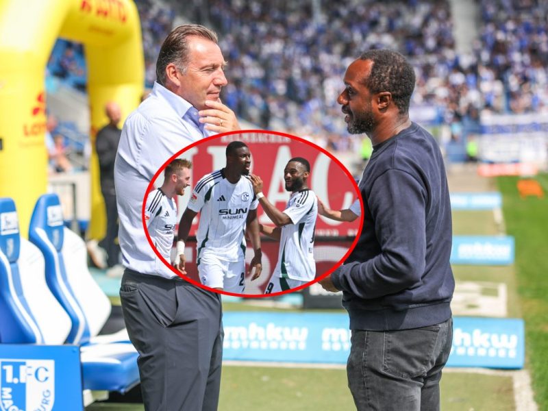 Die Vereinsbosse von Schalke 04 um Wilmots und Manga haben ein Gerüst für die Zukunft geschaffen. Dabei erhofft man sich die großen Einnahmen.