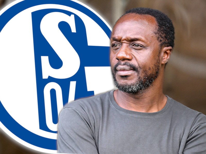 Schalke Manga Trainer