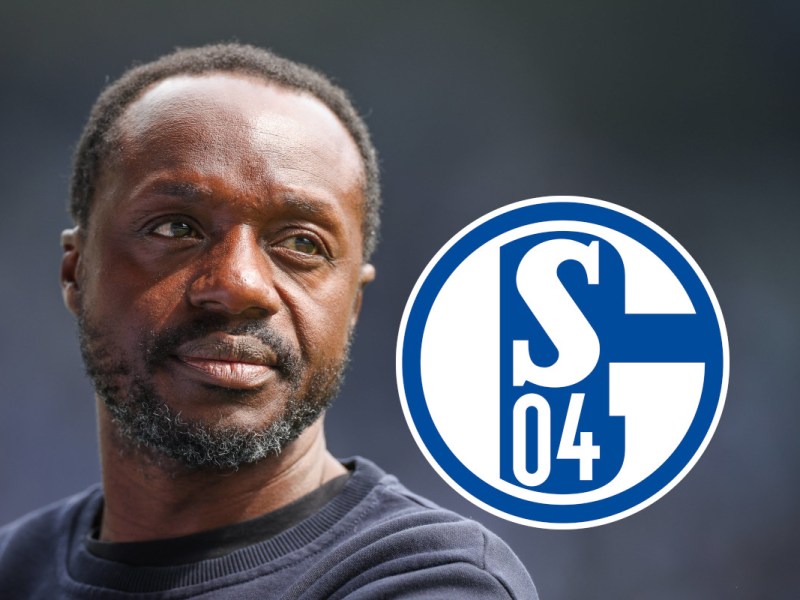 Schalke Manga