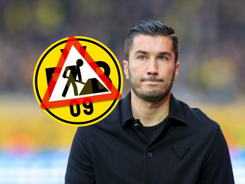 Borussia Dortmund muss seine Probleme angehen.