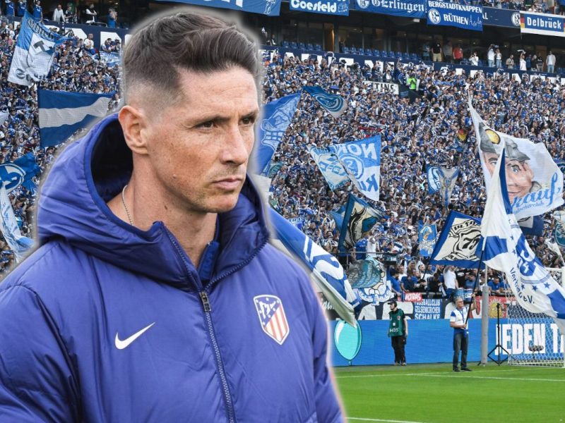 Fernando Torres zum FC Schalke 04?