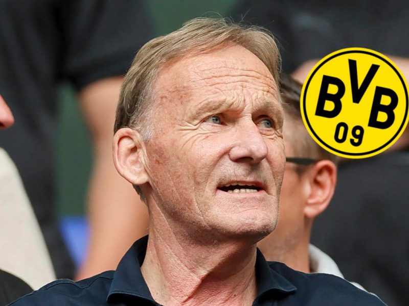 Borussia Dortmund: Fanshop