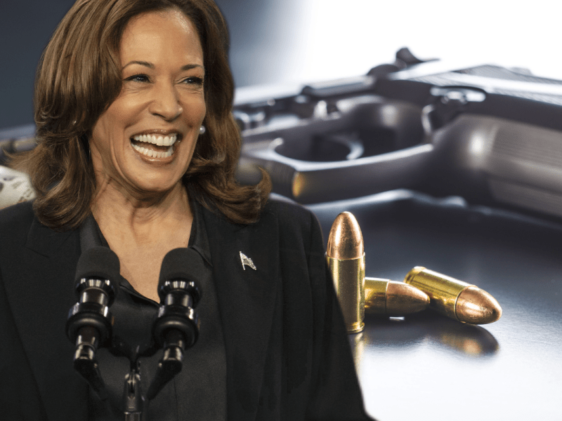 Kamala Harris besitzt eine Waffe.