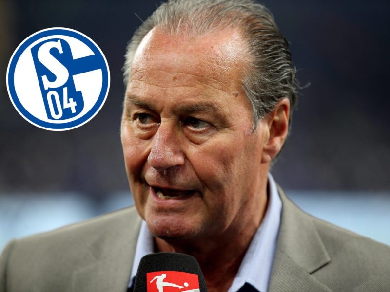 FC Schalke 04: Huub Stevens