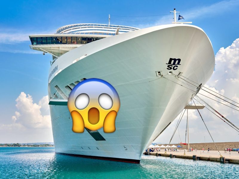 Ein Crew-Mitglied packt in den sozialen Medien über die Arbeit auf einem Kreuzfahrtschiff aus. Die Aussagen sind eindeutig.