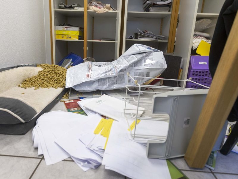 Tierheim Bochum: Nach Einbruch - Spende