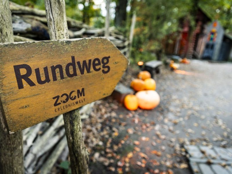 Ungewohnte Szenen in der Zoom Erlebniswelt Gelsenkirchen!