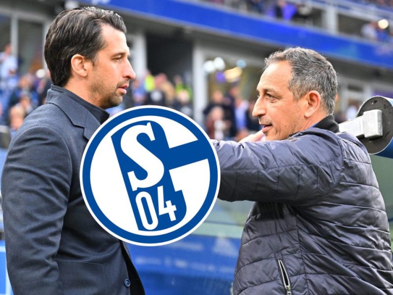 Schalke 04 hat weiterhin keinen Nachfolger für Marc Wilmots präsentiert. Jetzt könnte ein Ex-Manager der Konkurrenz zum Thema werden.
