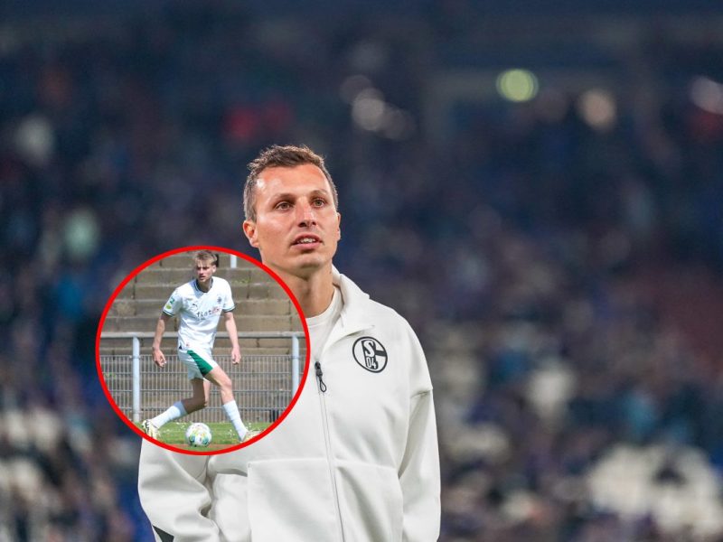 Gute Nachrichten für Jakob Fimpel und den FC Schalke 04. Königsblau hat eine wichtige Neuverpflichtung bekannt gegeben.