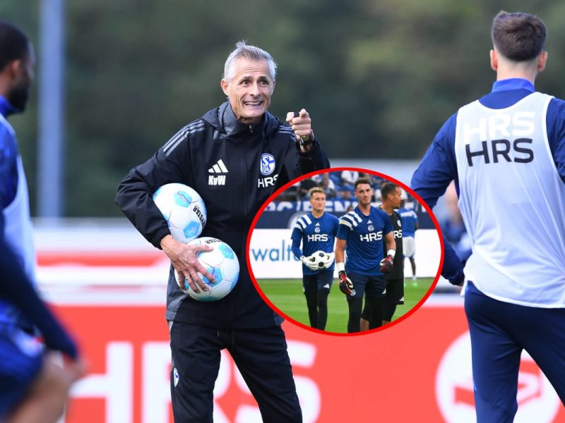 Der FC Schalke 04 hat mit Kees van Wonderen einen neuen Cheftrainer. Wird eine seiner ersten Amtshandlungen ein erneuter Trainerwechsel?