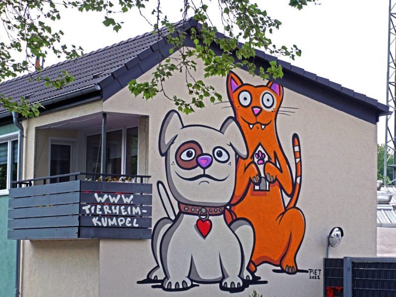 Das Tierheim Essen hat sich mit einem dringenden Aufruf an alle Tierfreunde gerichtet. Vor allem Sache stört die Mitarbeiter extrem.