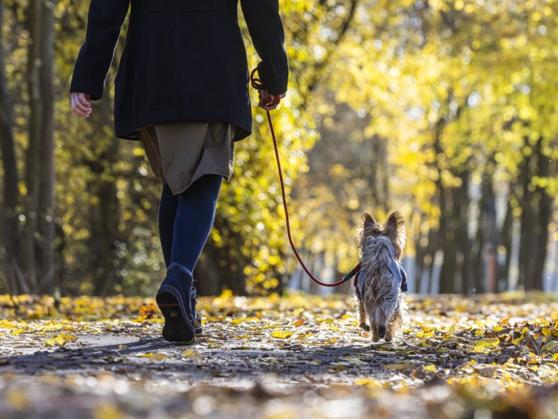 Wetter in NRW Herbst