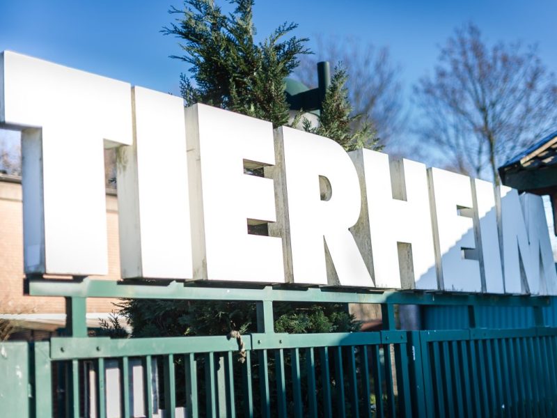 Tierheim Bochum