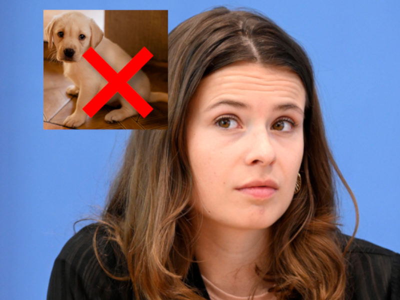 Haustier-Verbot: Luisa Neubauer macht sich über die CSU lustig.