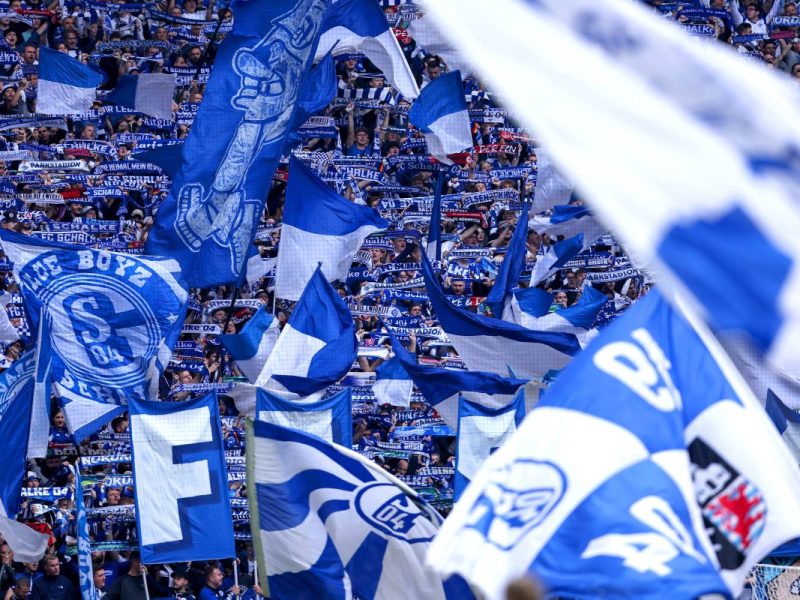 FC Schalke 04: Fans