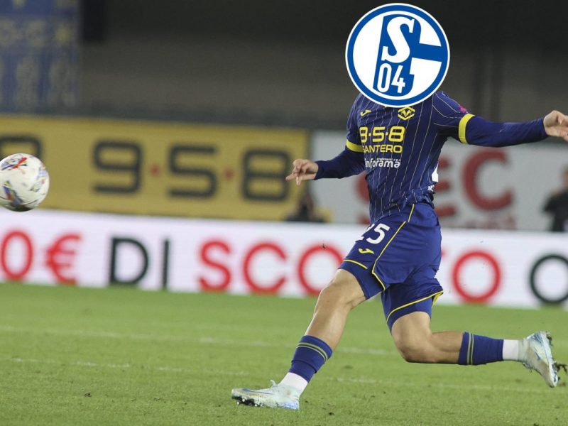 FC Schalke 04: Suat Serdar