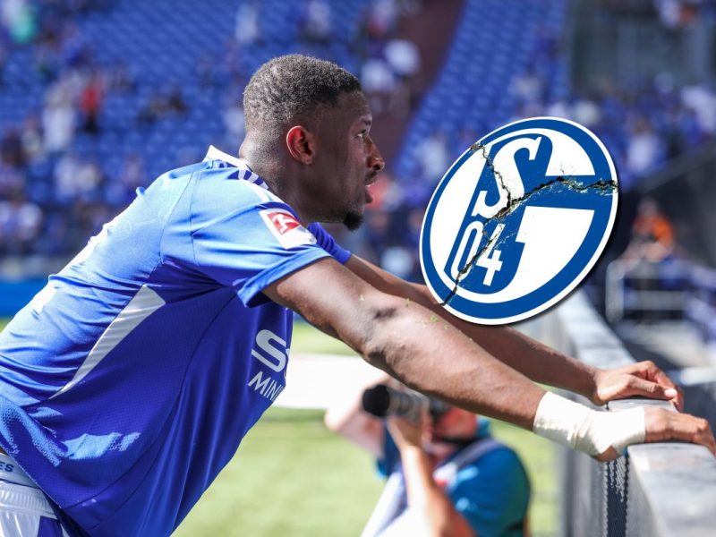 Ibrahima Cisse hat es bei FC Schalke 04 wieder sehr schwer.