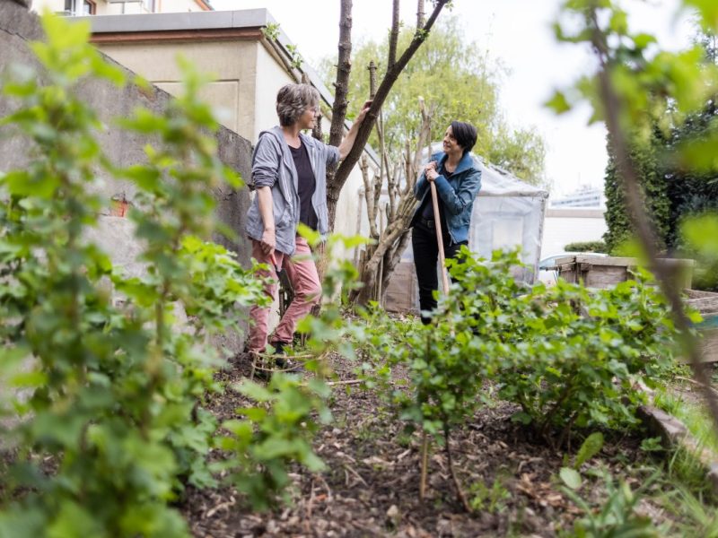 In Bochum sind Gemeinschaftsgärten besonders beliebt. (Symbolfoto)