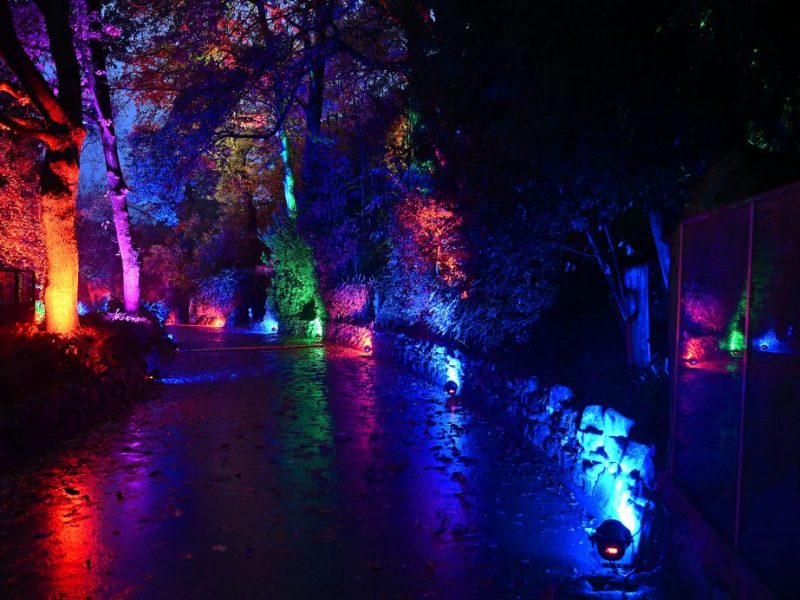 Lichtinstallationen im Zoo Duisburg
