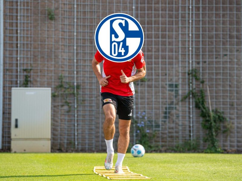 Schalke 04 möchte im Winter im Angriff nachlegen. Dabei könnte sogar ein Stürmer aus der Bundesliga für Ben Manga und Co. interessant werden.