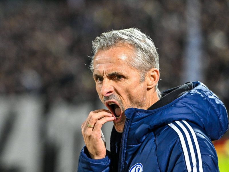 FC Schalke 04: Unterstützung für van Wonderen?