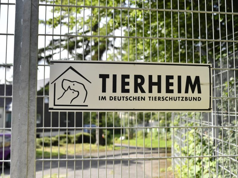 Tierheim NRW