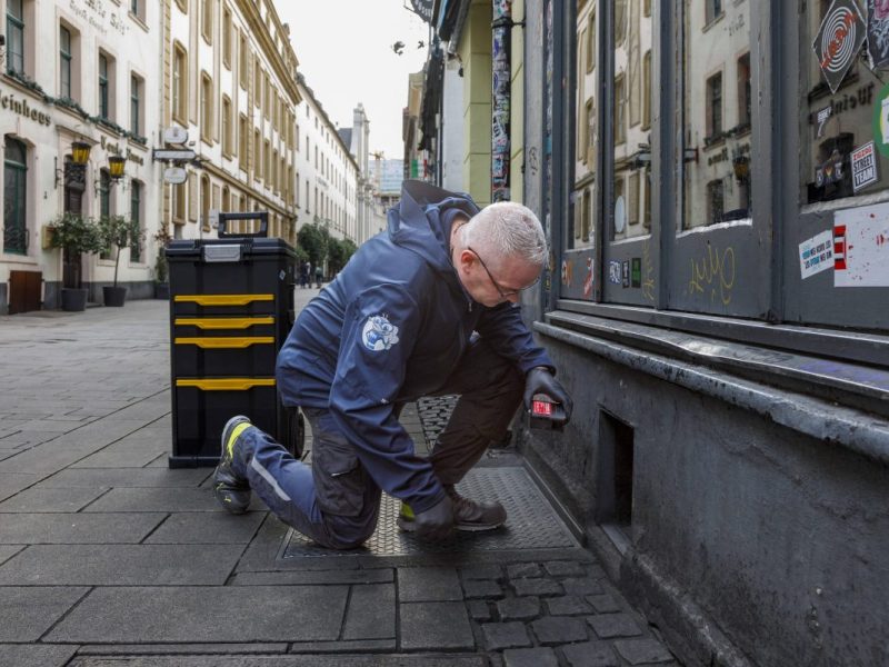 Mülheim: Ratten-Plage