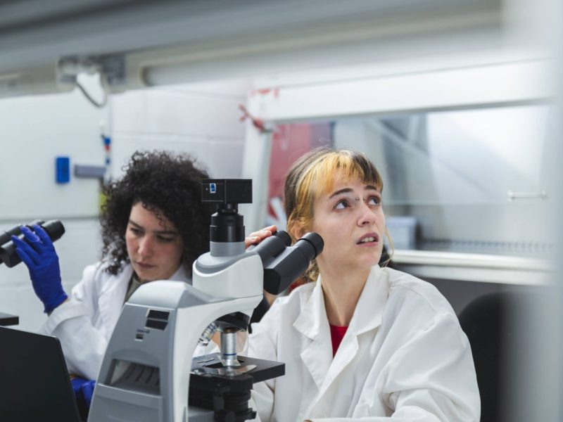 Gelsenkirchen Kaninchen-Pest (Symbolbild)