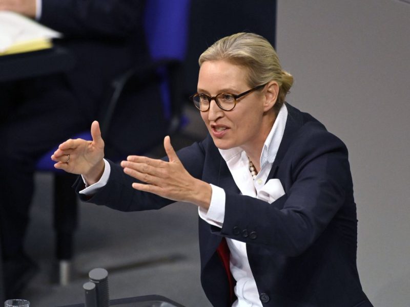Weidel im Bundestag