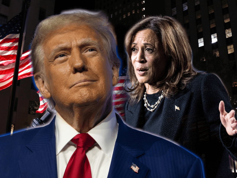 Die Swing States werden das Rennen um die US-Wahl entscheiden.