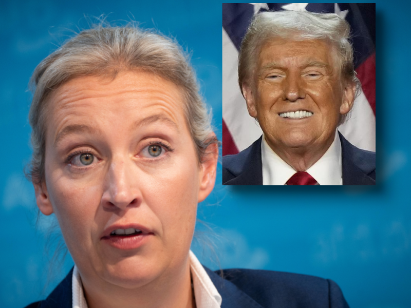 AfD und Trump
