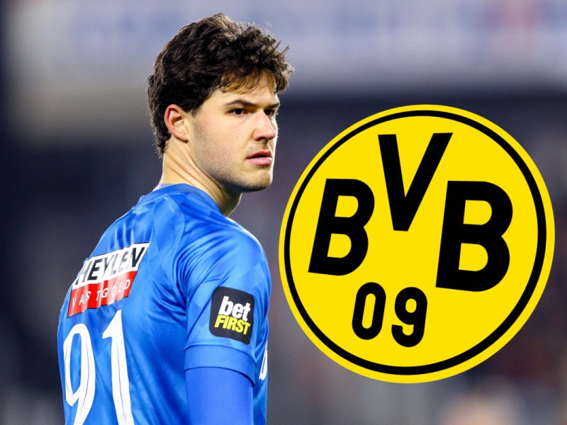 BVB Lammens