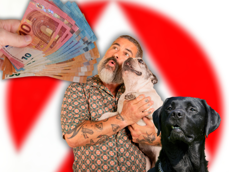 127 Euro für Hunde, 98 Euro für Katzen – ein TikTok-Video sorgt für Empörung. Doch stimmt das wirklich?
