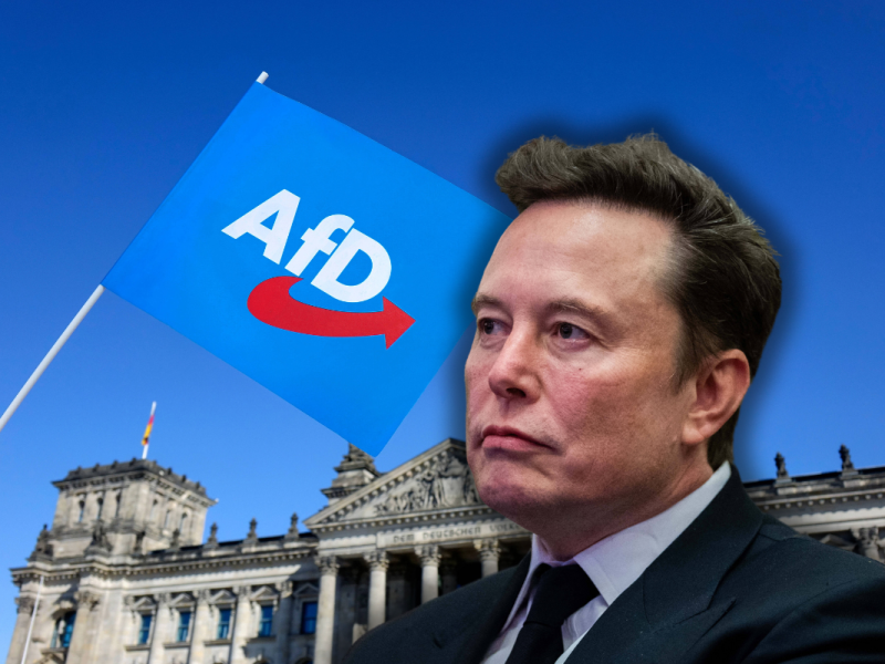 Auf seiner Plattform macht Elon Musk Werbung für die AfD.