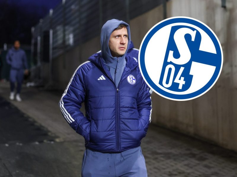 elversberg schalke 04