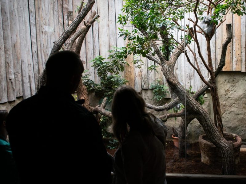 Zoo Duisburg: Eintrittspreise