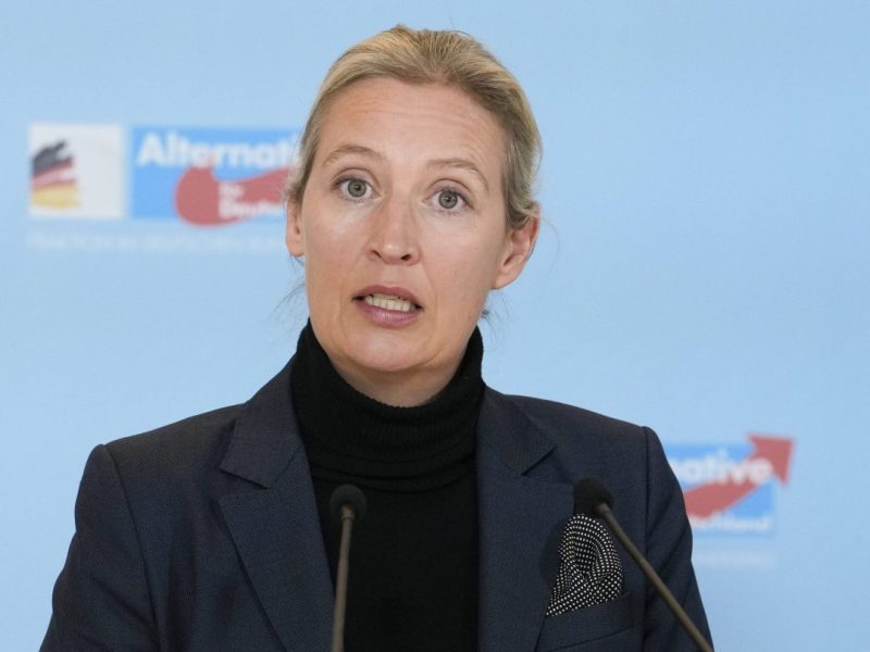 Alice Weidel (AfD)