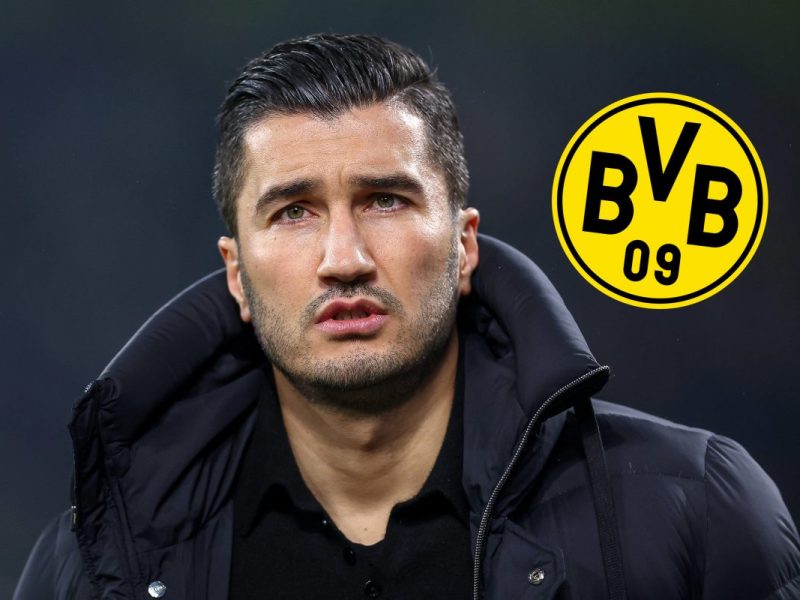 Borussia Dortmund: Transferplan