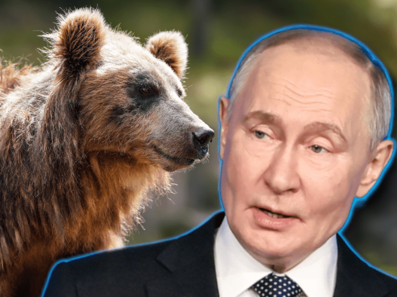 Putin und die russische Expansion