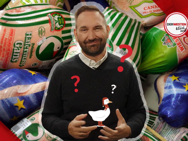 Edeka Netto Weihnachtsgans Ron Perduss