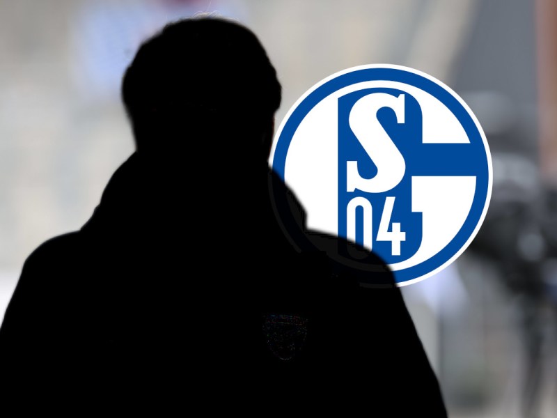 Schalke Beiersdorfer