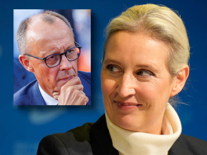 Weidel (AfD): Wird es gefährlich für Merz?