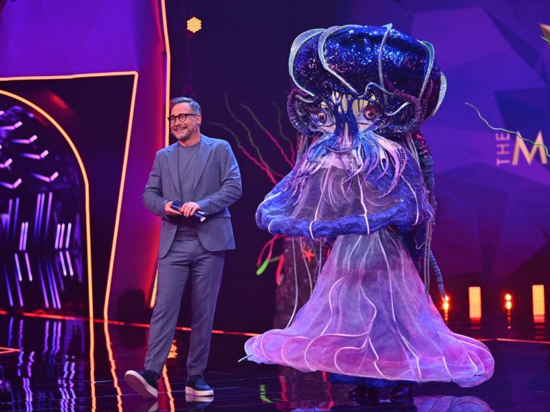 The Masked Singer Prosieben Qualle