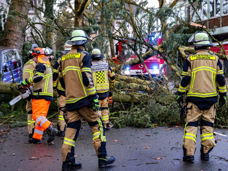 Sturm-Wetter in NRW: In Solingen beseitigen Einsatzkräfte der Feuerwehr einen umgestürzten Baum.
