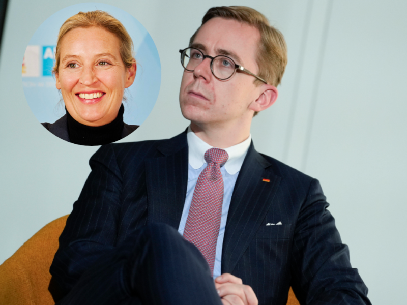 CDU-Politiker Amthor wettert gegen Alice Weidel.