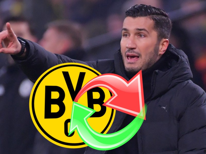 BVB Sahin