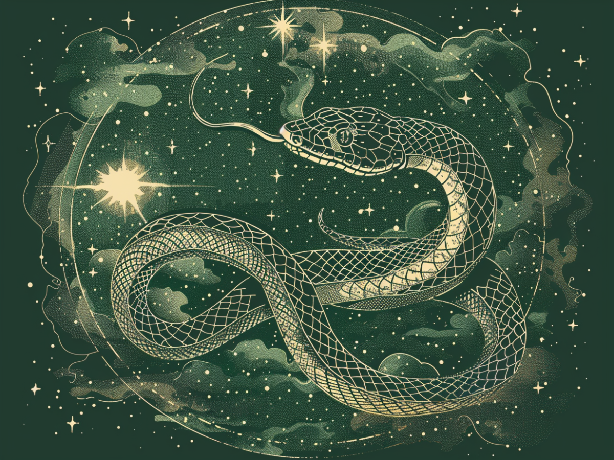 Gezeichnete Schlange vor grünem Hintergrund mit Sternen und Wolken.