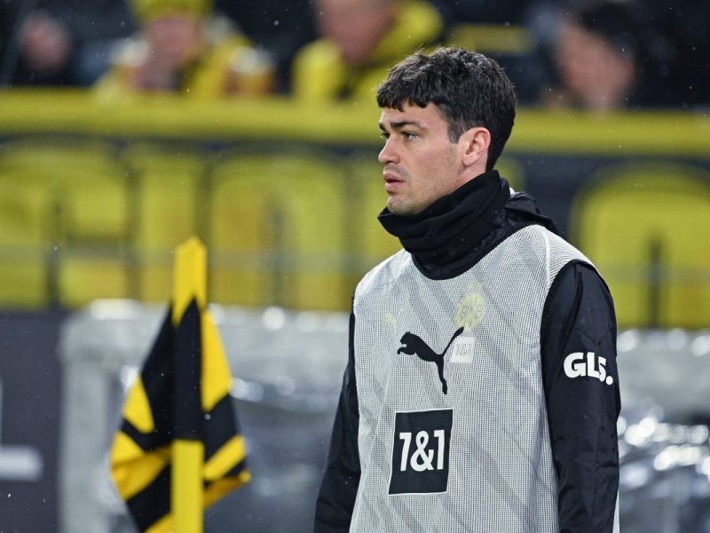 Borussia Dortmund: Gio Reyna