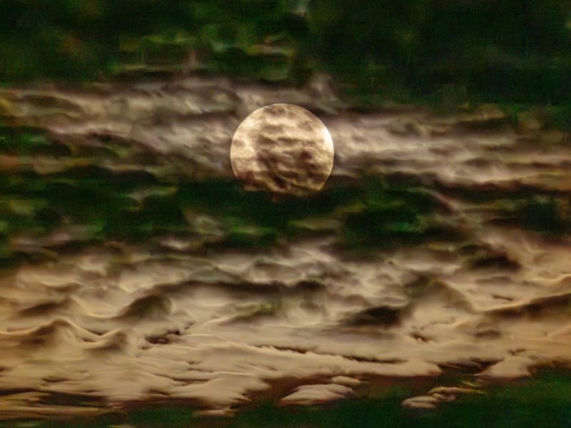 Das Horoskop wird vom Mondknoten beeinflusst. (Symbolfoto)