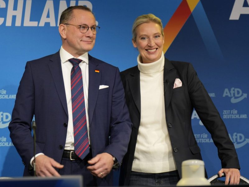 AfD über 20 Prozent